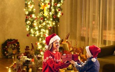 Nhiều lựa chọn trang trí Noel độc, lạ cho những ai đã quá chán cây thông