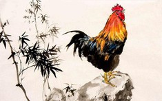 Tuổi Quý Dậu hợp cây gì? Cách chọn cây phong thủy hợp Quý Dậu?