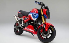 Sau phiên bản thường, Honda chính thức ra mắt Honda MSX 125 - Honda Grom phiên bản trường đua đầy hấp dẫn