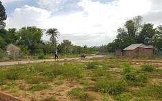 Ninh Thuận "tuýt còi" doanh nghiệp phân lô bán nền trái phép