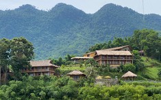 Nhà đầu tư cần làm gì để không mất trắng tài sản khi mua farmstay?