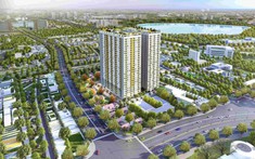 Hạnh phúc chẳng ở đâu xa, ngay trong chính ngôi nhà của mình
