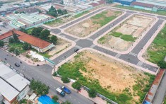 Kênh đầu tư vua vẫn nóng dù thị trường khó khăn
