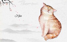 Cách xác định hướng nhà tuổi Đinh Mão 1987 và những điều bạn chưa biết