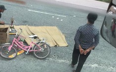 Video: Dừng chờ sang đường trên quốc lộ 5, hai cháu bé đi xe đạp bị xe ben cán thương vong