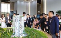 Nhu cầu mua căn hộ diện tích lớn có dấu hiệu tăng trở lại
