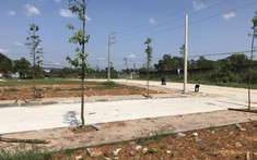 Biết cách định giá sẽ tránh được bẫy đầu tư đất nền