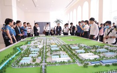 Không bị tạo giá ảo, giao dịch nhà đất Long An âm thầm tăng