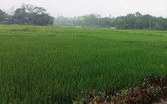 Chỉ 2 năm đầu tư đất quê, tôi mua được nhà tiền tỷ ở trung tâm Hà Nội
