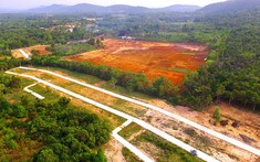 Lên thành phố, Phú Quốc có sốt đất?