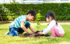 Khởi đầu hành trình hạnh phúc xuất phát từ không gian sống