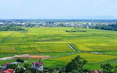 Thủ tướng cho 3 tỉnh được chuyển mục đích sử dụng đất lúa sang đất phi nông nghiệp