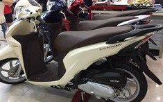 Giá xe Honda Vision có dấu hiệu tăng trở lại trước mùa mua sắm Tết