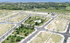 5 bước xử lý phân lô, bán nền sai phép của Bình Dương