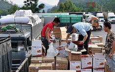 Cải cách mô hình kiểm tra chất lượng, ATTP đối với hàng hóa nhập khẩu