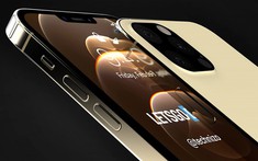 Toàn bộ thành viên iPhone 13 đều có Touch ID dưới màn hình