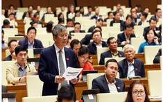 Quốc hội thảo luận dự thảo Luật Phòng, chống ma túy sửa đổi