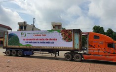 Bắc Giang: Vải thiều “Sạch – Không bị tác động của dịch Covid-19'