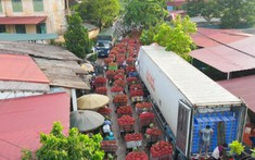 Ưu tiên lưu thông nhanh chóng xe chở vải thiều từ Bắc Giang