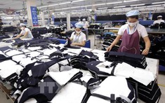 Chính phủ ban hành chính sách hỗ trợ người lao động và người sử dụng lao động khó khăn do COVID-19