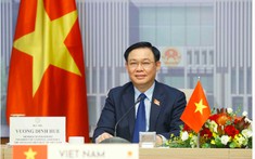 Thúc đẩy hợp tác kinh tế, thương mại Việt Nam-Morocco tương xứng với mối quan hệ chính trị tin cậy