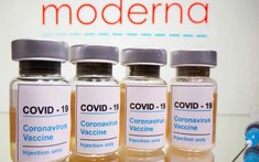 Công ty Sapharco đang chờ đại diện Moderna chuyển dự thảo hợp đồng để mua 5 triệu liều vaccine Moderna