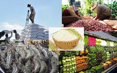 Thủ tướng Chính phủ chỉ đạo thúc đẩy sản xuất, lưu thông, XK nông sản