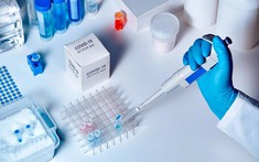 Xử lý các thông tin phản ánh về công tác phòng chống dịch COVID-19