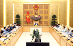 Theo dõi chặt chẽ diễn biến thị trường, điều hành giá linh hoạt, hiệu quả thời gian tới
