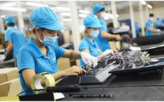 Chính phủ ban hành Nghị định hướng dẫn 4 nhóm giải pháp miễn, giảm thuế hỗ trợ DN, người dân