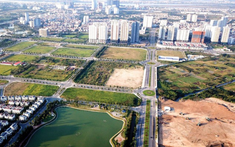 Ngăn chặn hành vi lợi dụng đấu giá đất để gây nhiễu loạn thị trường, trục lợi