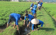 Ninh Bình: Phát huy vai trò của tổ chức Đoàn trong việc tham gia xây dựng nông thôn mới tại huyện Hoa Lư