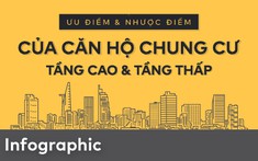 [Infographic] Đặt lên bàn cân ưu nhược điểm của căn hộ tầng cao và tầng thấp