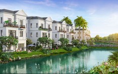Giới siêu giàu Việt Nam đang chọn sân chơi bất động sản nào?