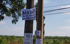 Bán nhà trả nợ vì tính sai phương án tài chính