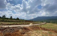 Lâm Đồng ban hành quy định mới về tách thửa đất