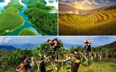 Nghĩa Lộ - "Ngôi sao sáng" của thị trường BĐS tỉnh lẻ mùa Covid-19