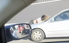 Người phụ nữ dũng cảm bám lên mũi xe của kẻ trộm chó con giá 230 triệu đồng