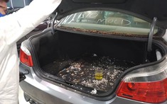 Theo dõi quá trình làm vệ sinh chi tiết một chiếc BMW ngập tràn nấm mốc