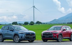 Mình Toyota Vios gồng gánh cũng không thể kéo doanh số Toyota Việt Nam đi lên trong năm 2020