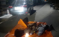 Bình Dương: "Cẩu tặc" lái Toyota Corolla Altis đi trộm chó, tông móp đầu xe của công an