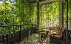 Quán cà phê đẹp được cải tạo từ tòa nhà cũ xây những năm 70