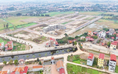 Khánh Hòa rà soát việc bán đấu giá bất động sản trên địa bàn tỉnh