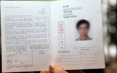 Giấy phép lái xe quốc tế là gì? Đổi giấy phép lái xe quốc tế như thế nào?