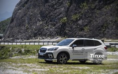 Hết lỗi kim phun, Subaru Forester lại gặp trục trặc phải triệu hồi tại Việt Nam