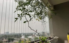 Lưới an toàn chung cư: Có nên lắp đặt?