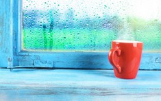 Tổng hợp bí kíp ứng phó với trời nồm vừa đơn giản lại hiệu quả