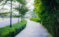 Sống như nghỉ dưỡng mỗi ngày tại khu biệt lập The Standard của An Gia (AGG)