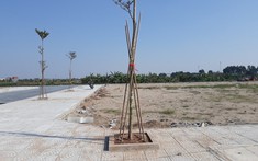 Bất động sản tại thị trường từng đóng băng vì Covid-19, giờ ra sao?