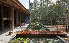 Bình yên ngôi nhà giữa vườn bưởi ở Huế